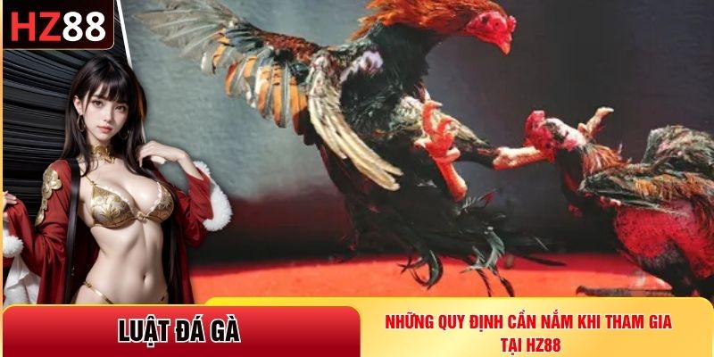 luật đá gà